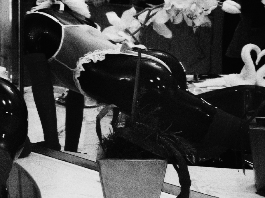 Mistrix Violeta's Birthday Month